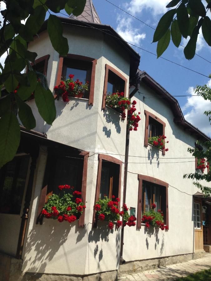 Гостевой дом Pensiunea Casa Bianca Bucovina Вама-48