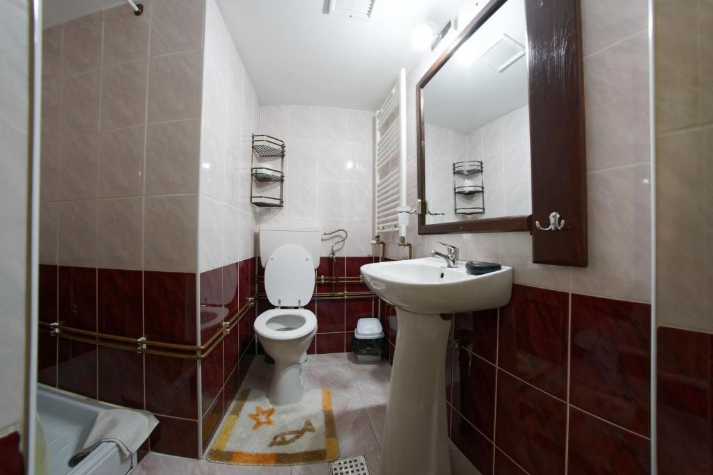 Гостевой дом Pensiunea Casa Bianca Bucovina Вама-55