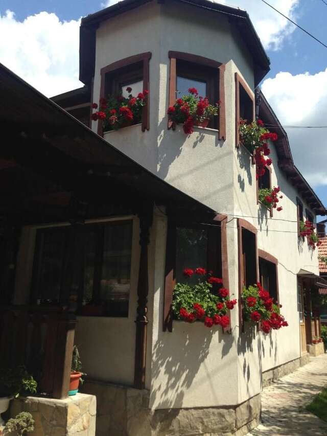 Гостевой дом Pensiunea Casa Bianca Bucovina Вама-45